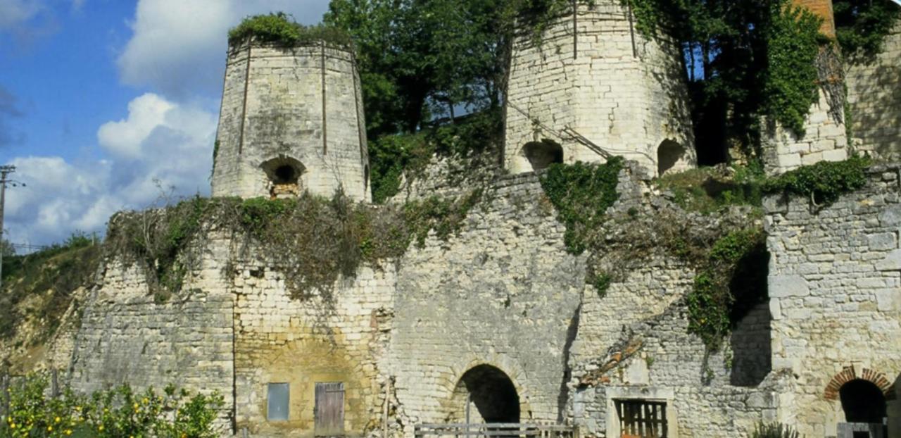 Bed and Breakfast Le Perchoir Nocturne Payre-sur-Vendee Экстерьер фото